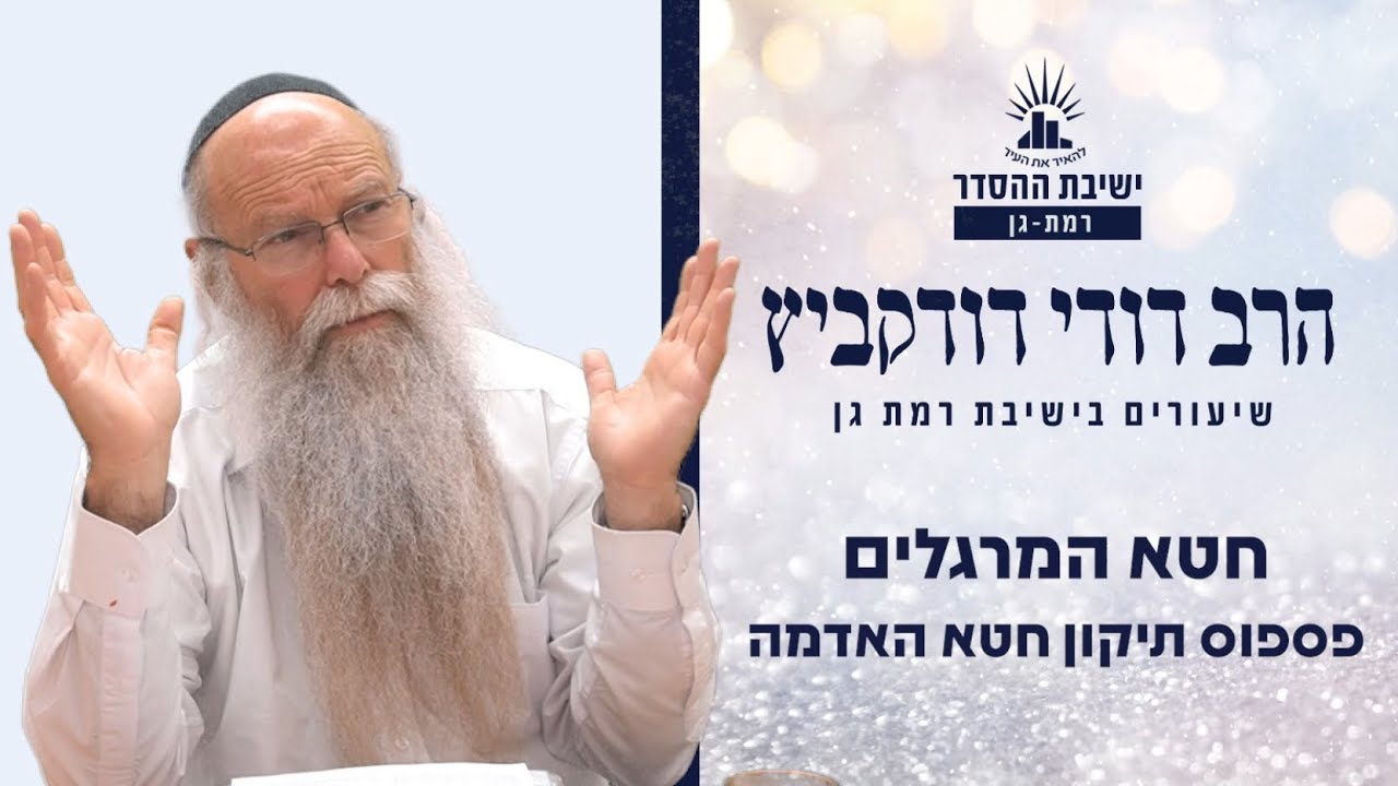 חטא המרגלים- פספוס תיקון חטא האדמה | שיעור לפרשת שלח- לך | הרב דודי דודקביץ'