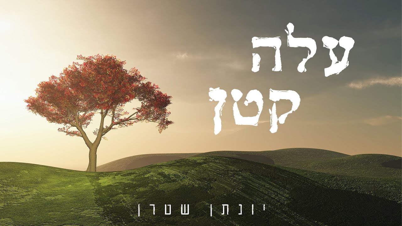 עלה קטן