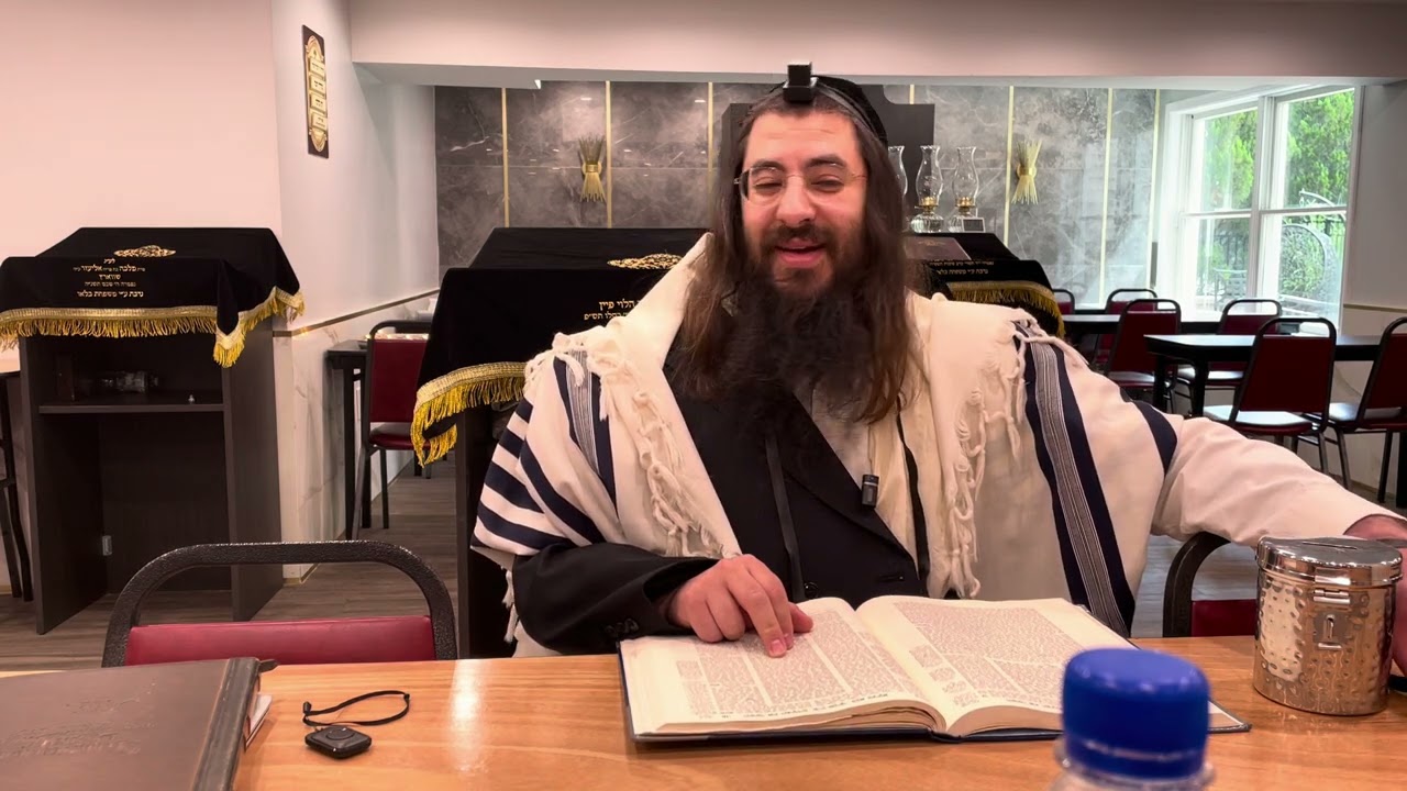 Bava Metziah 87b-88a Harav Chaim Ozer Geldzahler