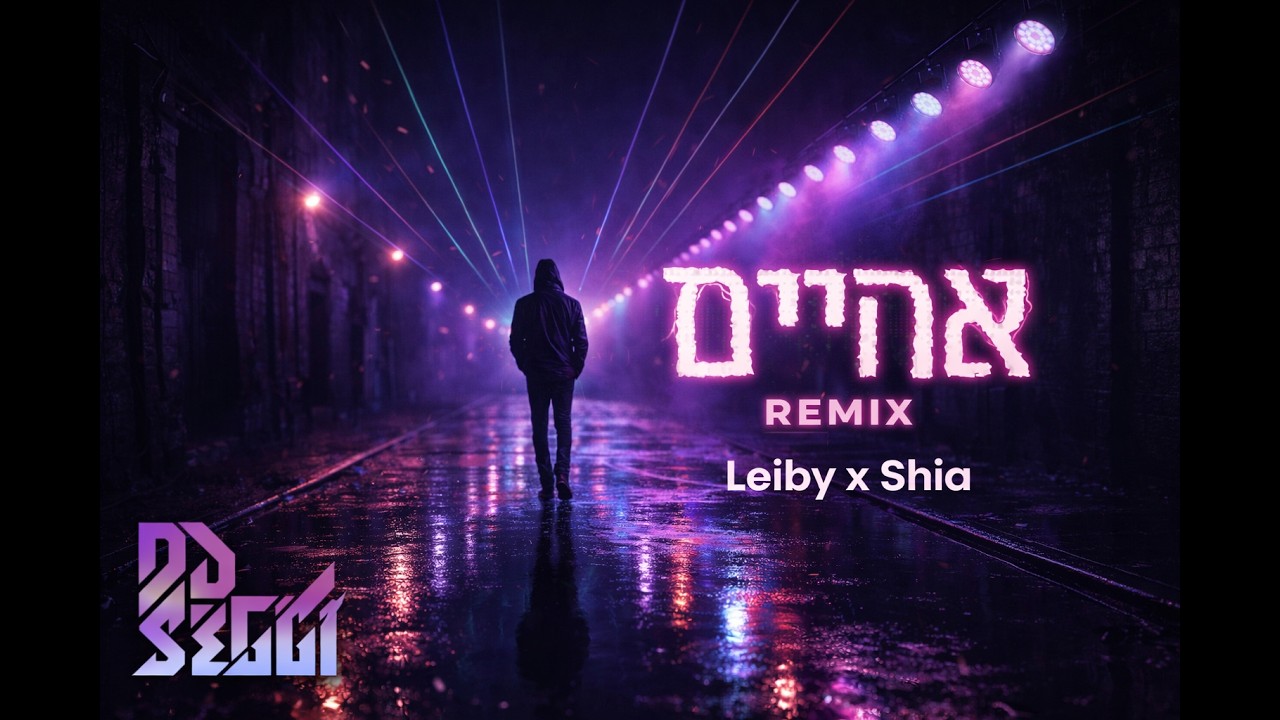 Aheim Dj Seggi Mashup Ft. Leiby X Shia
