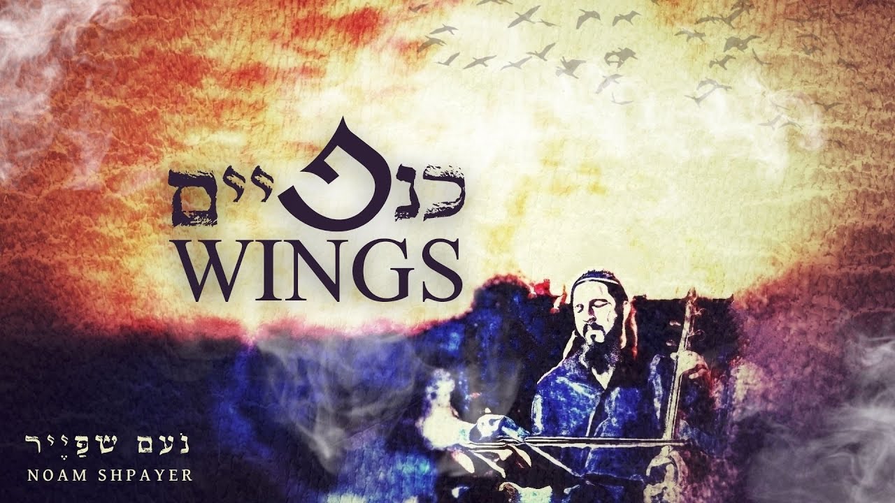 כנפיים - נעם שפייר | Wings - Noam Shpayer