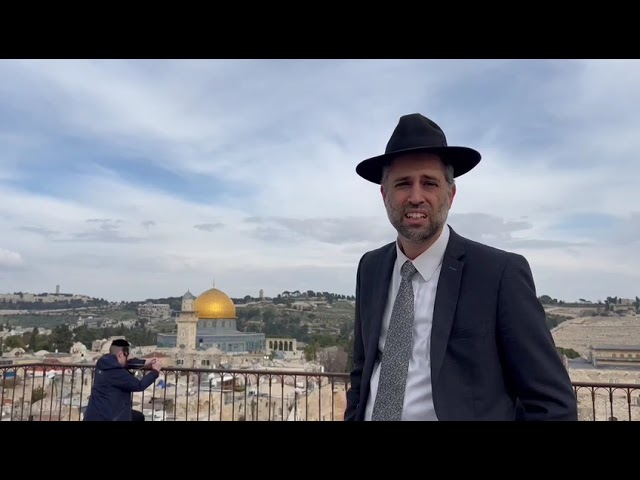 Ari Goldwag - new song - overlooking har habayis