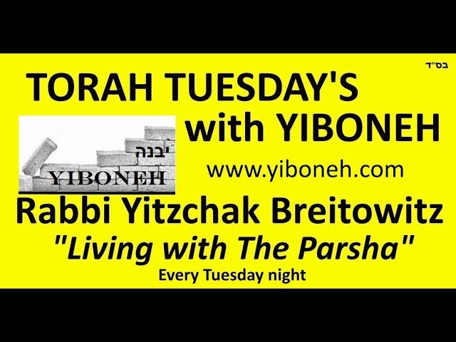 "8th, 9th and 10th of Tevet" Rabbi Yitzchak Breitowitz VaYechi