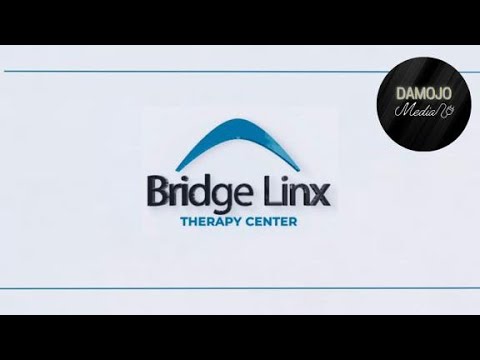 Bridge Linx Promo Video
