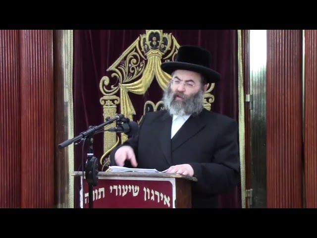 דינים הנוגעים לשנה מעוברת - ר' שמשון ציננער שליט"א