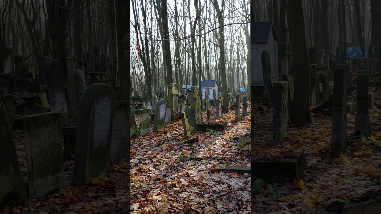 Warsaw Tour w R' Dalfin - Warsaw cemetery - Radomsk