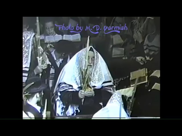 Vishnitz Rebbe shaking Lulav & Esrog - The M.D. Yarmish Collection