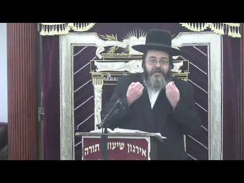 כמה חידושים בהלכות בישול בשבת - ר' שלמה יצחק ביקסנשפאנער שליט"א