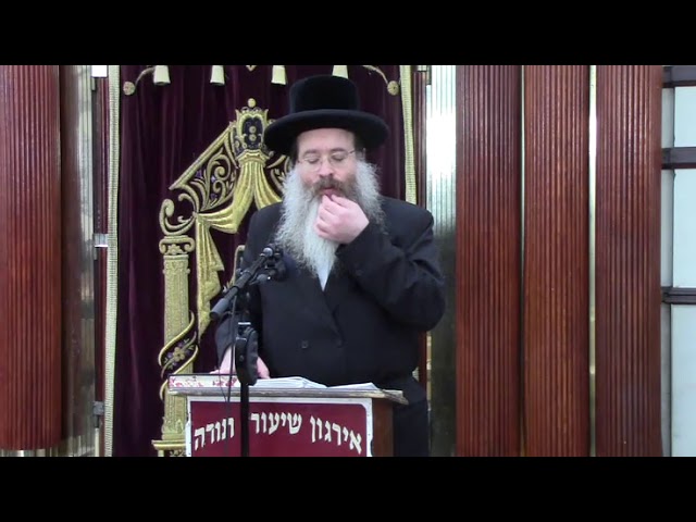 דינים נחוצים בהלכות תפלין - הרה"ג ר' בנימין ברייער שליט"א