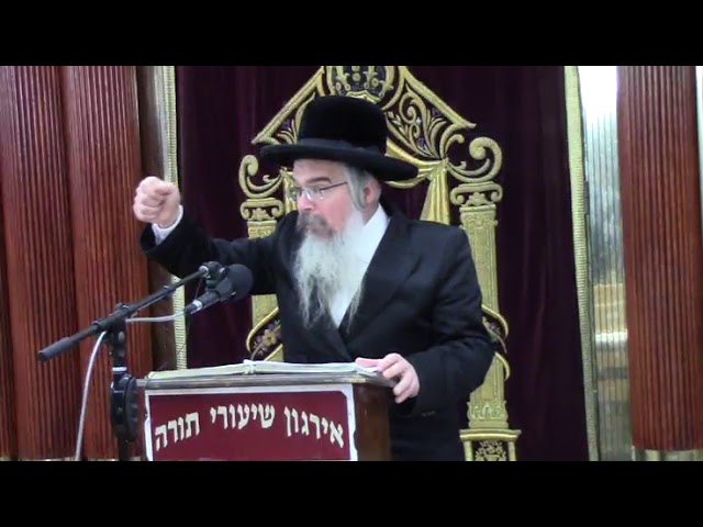 הלכות ארבעת המינים - הרב אברהם חיים שטיינווארצל