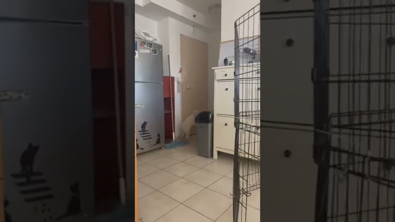 הוא אובססיבי אליי