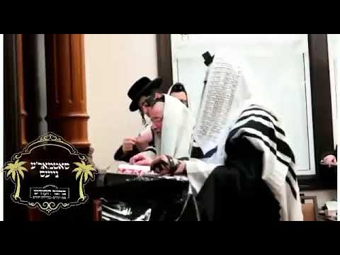 כ"ק אדמו"ר מסאטמאר שליט"א באמירת הלל