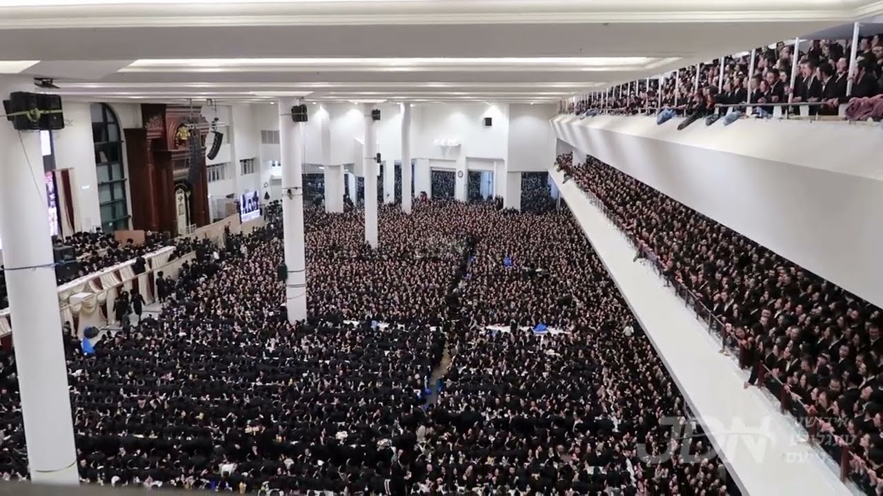 שמחת החתונה פון אן אייניקל פון האדמו"ר מגור