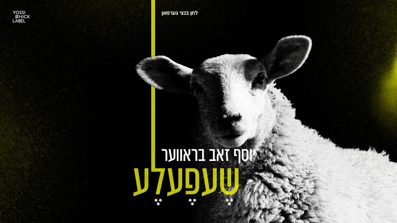 Shefele - Yosef Zev Braver | שעפעלע - יוסף זאב בראווער