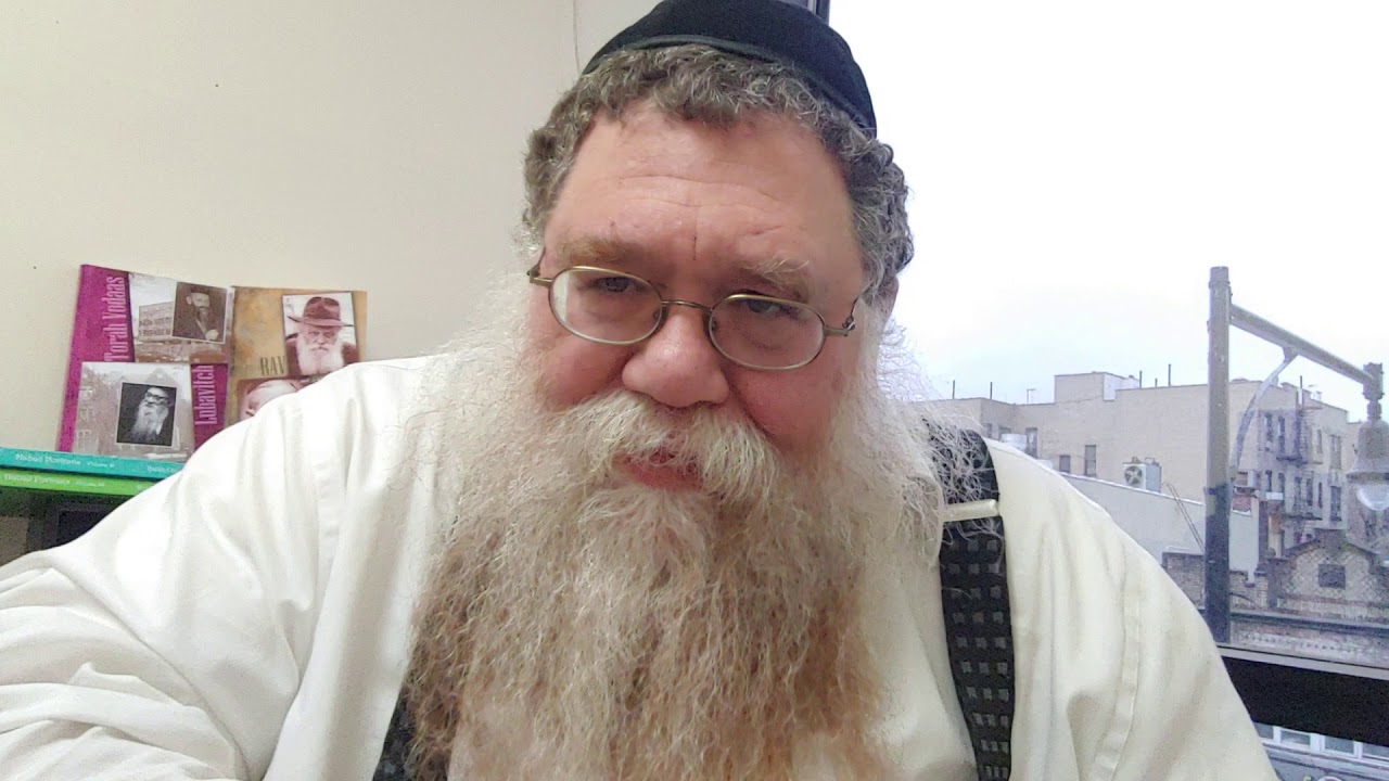 חבד עם הרב דלפין #5 הרב מרדכי אלטיין ע"ה עם רבני ברוקס