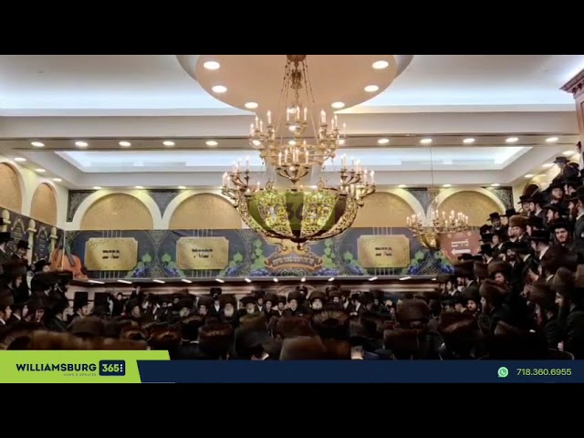Krula Chasidim celebrated the wedding of the Rebbe's granchild that took place on the Krula Bhm"d.