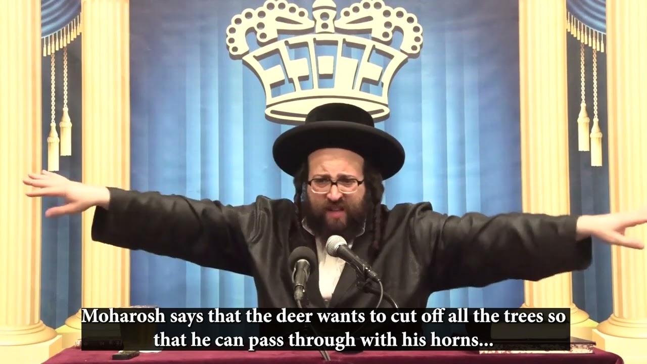 Rabbi Yoel Roth - I can't get along with anyone, who's the problem?