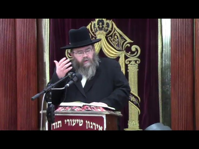 התעוררות בענייני חנוכה - הרב משה מאיר לדרמן