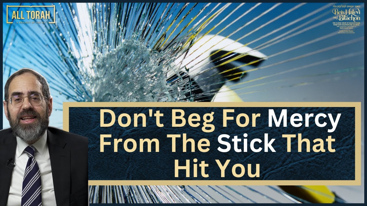 Ep 05: Don't Beg For Mercy From The Stick That Hit You