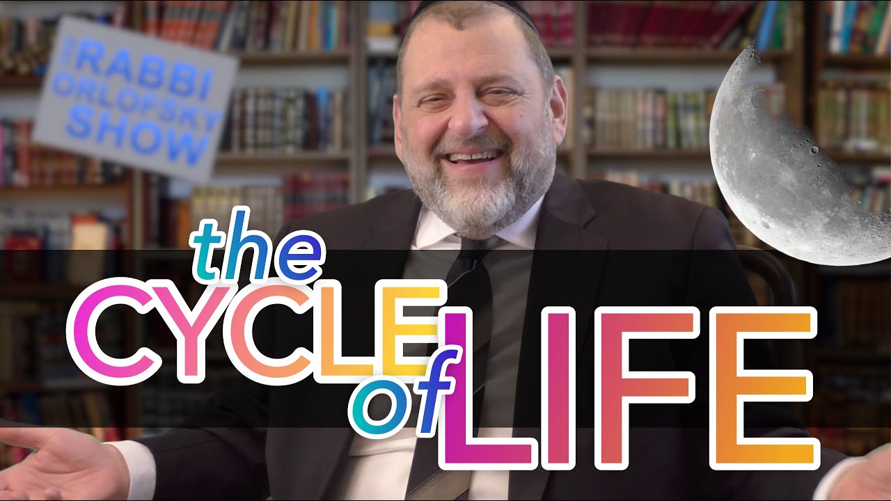 82: The Cycle of Life