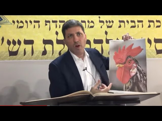 Daf Yomi Berachos Daf 7 by R’ Eli Stefansky