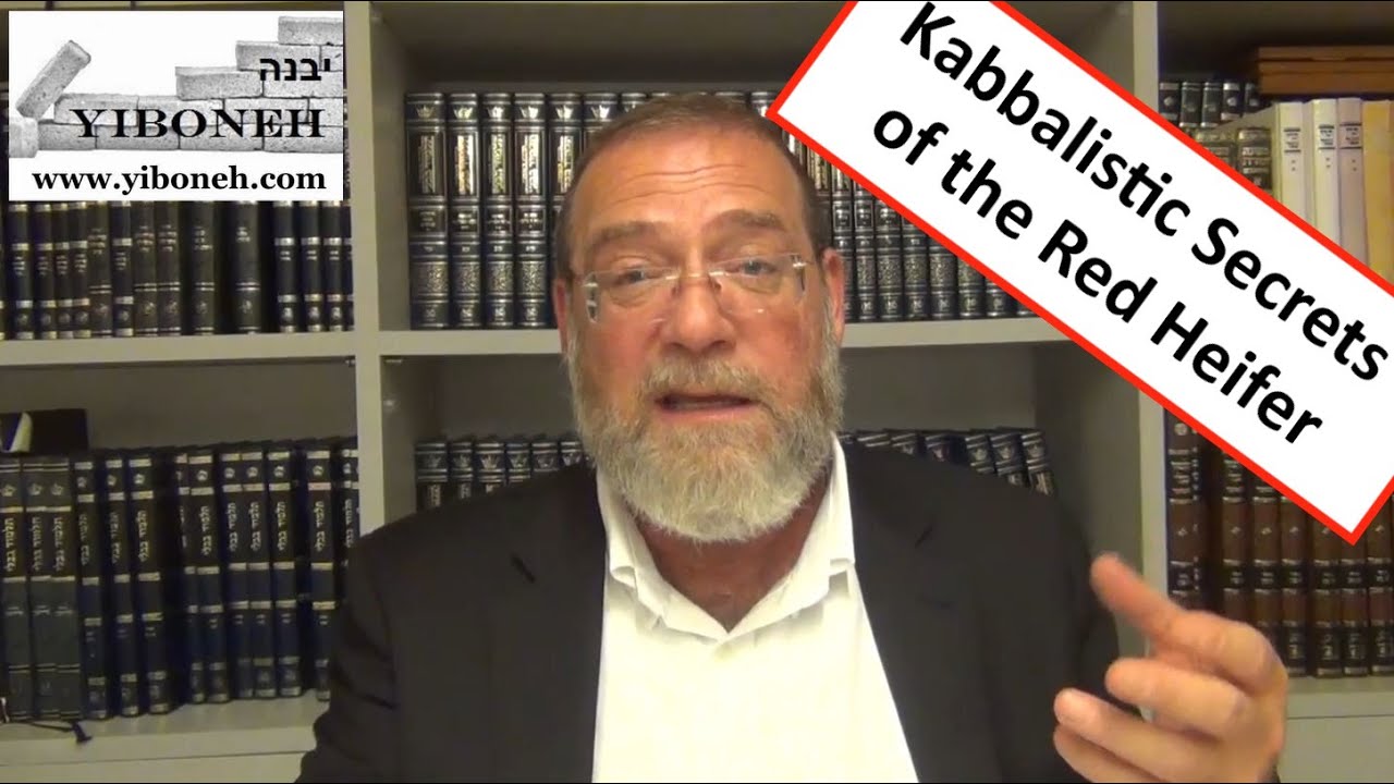 Rabbi Aaron Dovid Poston: Kabbalistic Secrets of the Red Heifer