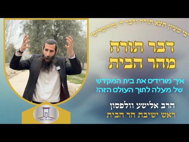 איך מורידים את בית המקדש של מעלה לתוך העולם הזה? | הרב אלישע וולפסון