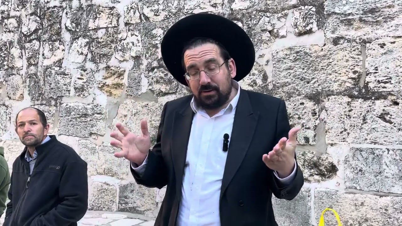 אין לחשוש • על ישראל לתפוס את הנחש  בזנבו | הרב אליהו ובר