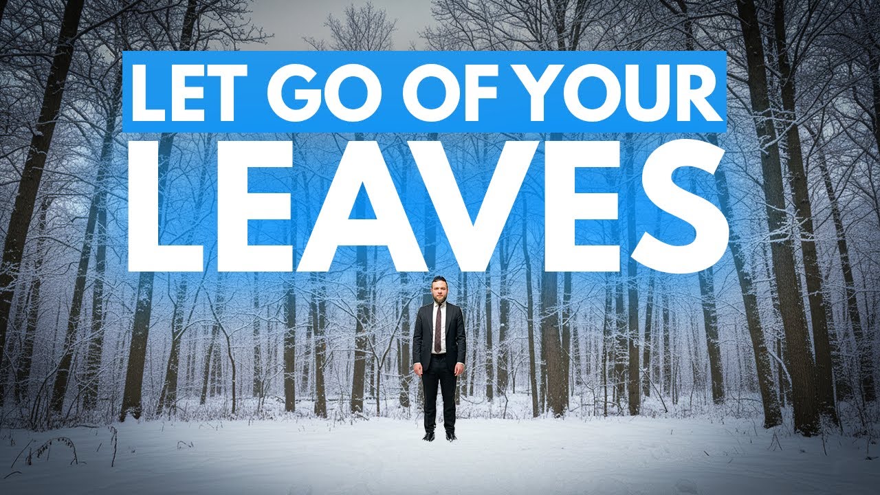 Why Do Trees Get Rid Of Leaves ?