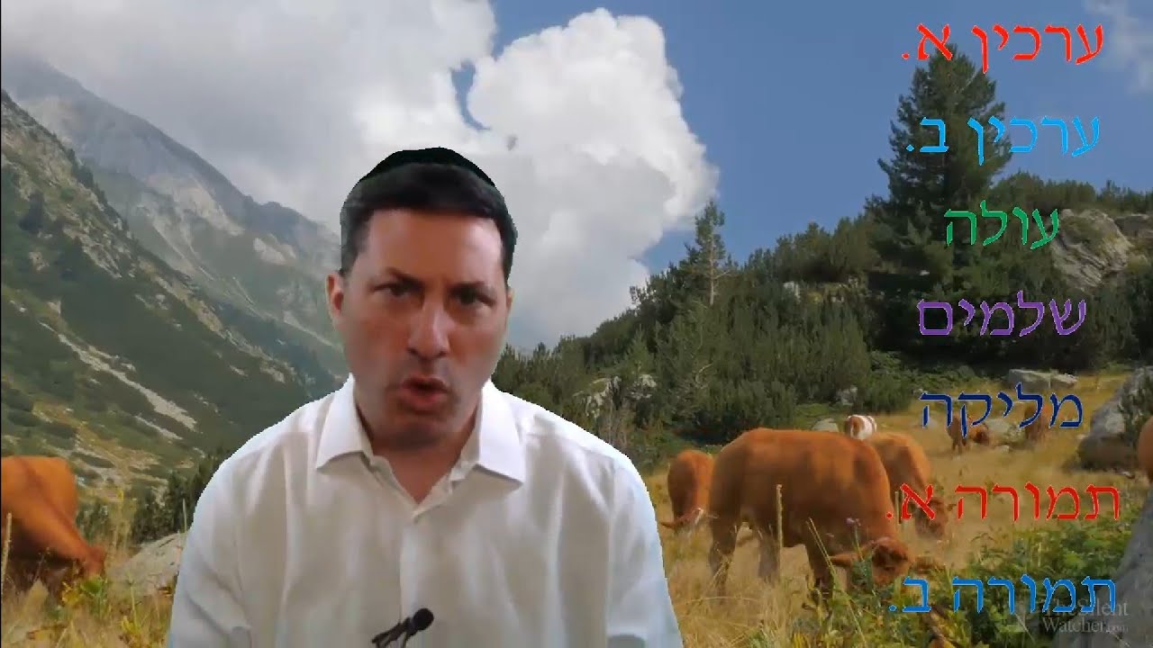 8 Min Daf - Bechoros Daf 42 by R’ Eli Stefansky