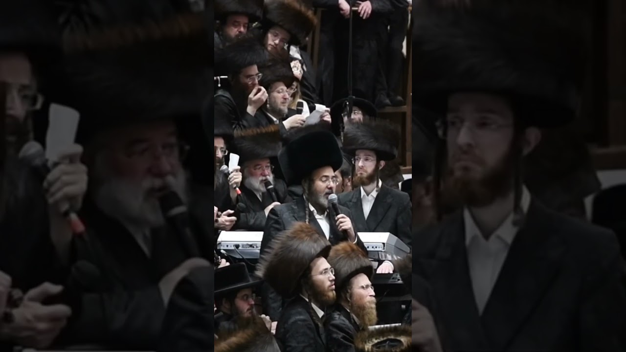 שמחת השבע ברכות המרכזי, שמחת בית בעלז. #jewish #musica #grammer #chazzan