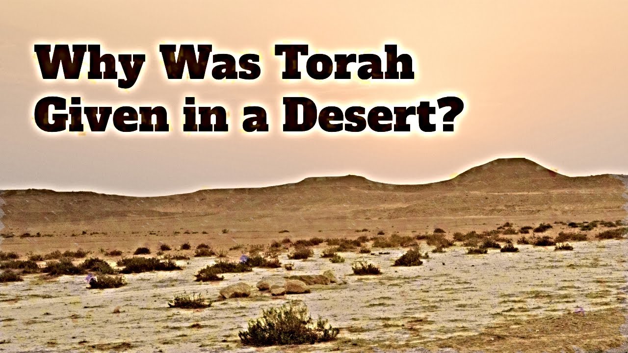 Can G-d Find You in a Desert? | Parshas Bamidbar