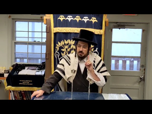 מה יום המות אומר -  תלוי למי שואלים - Rav Benzion Sneh Daily Yiddish Shiur November 17