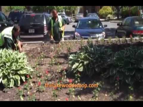 Township Placing Flowers In Downtown