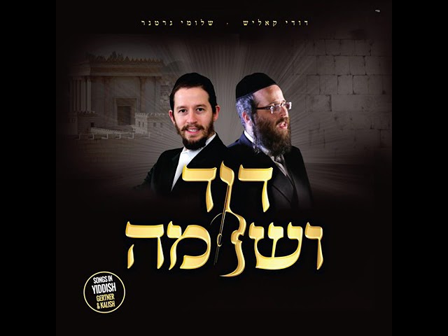 Dovid V'Shloime