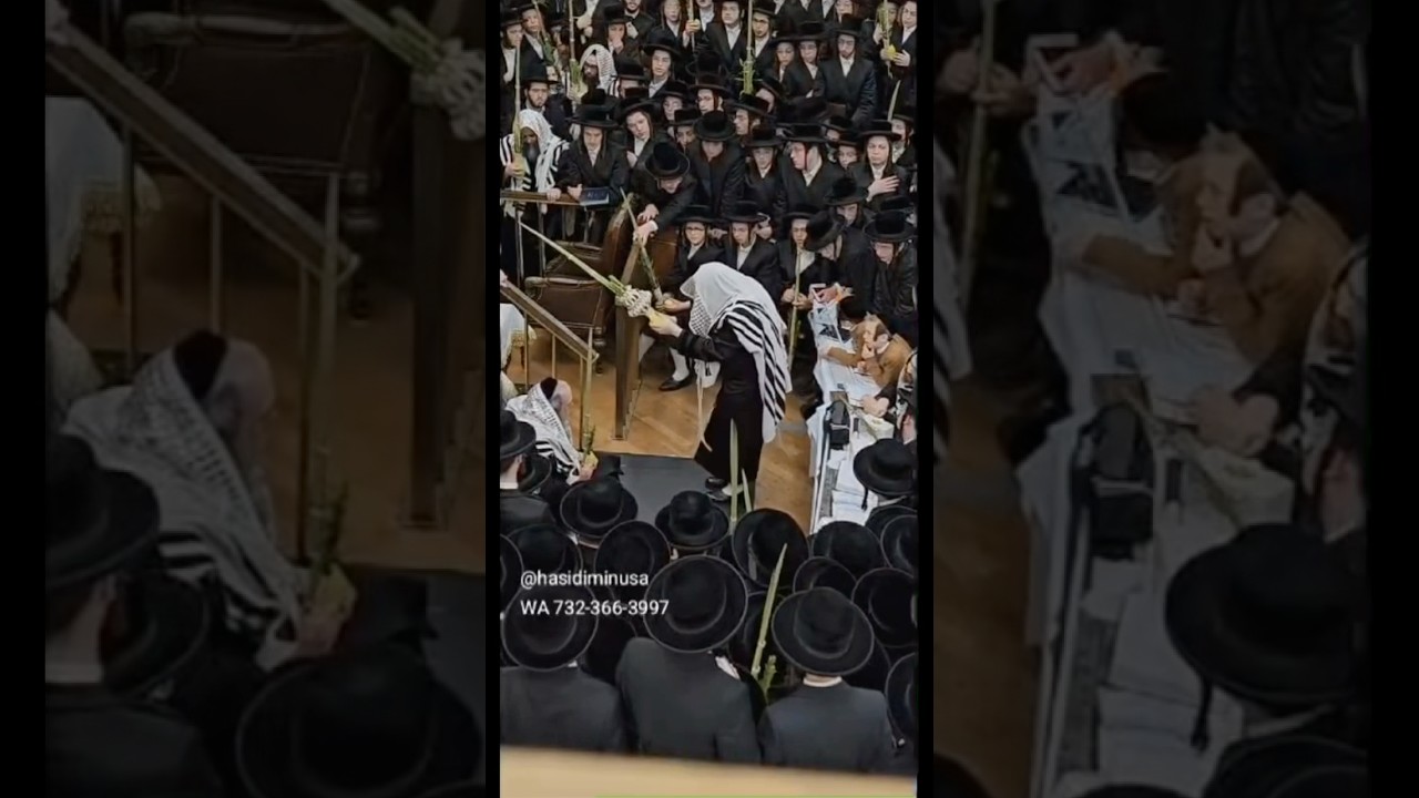 Satmar Rebbe R’ Zalmen Leib At The Na’anuim - Sukkos 2024