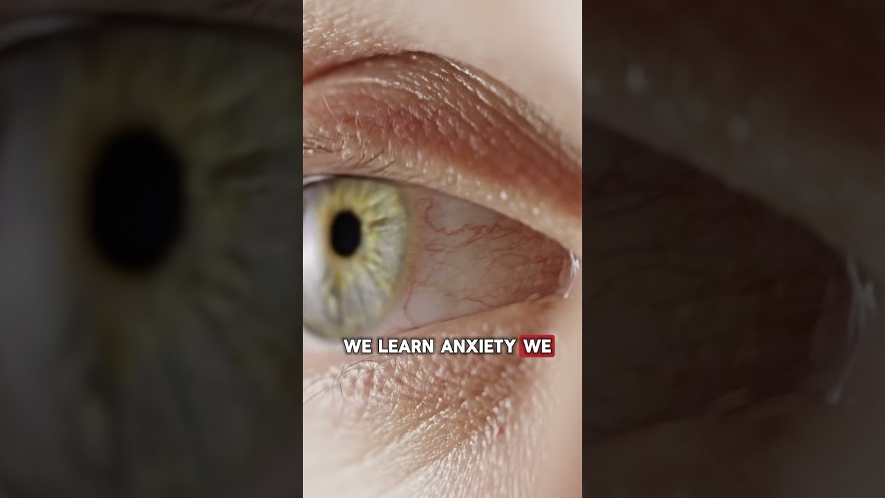 Do Babies Learn Anxiety