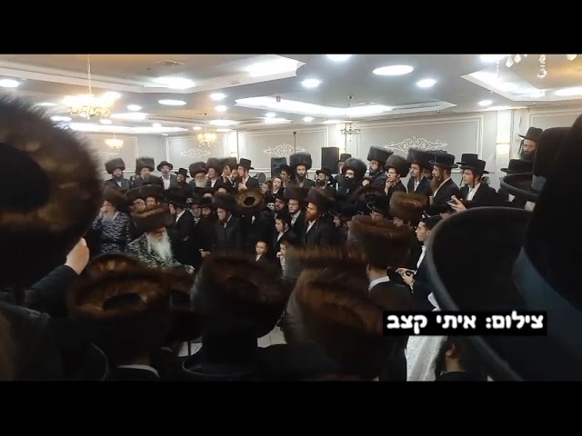 Sanz Rebbe At Relatives Wedding - Cheshvan 5784