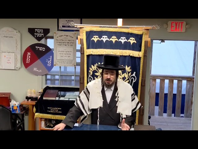 והחזקת בו - פרשת בהר - Rav Benzion Sneh at Scheiner's May 6