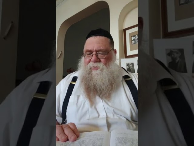 Don't Miss Your Life's Purpose - Rabbi Chaim Dalfin