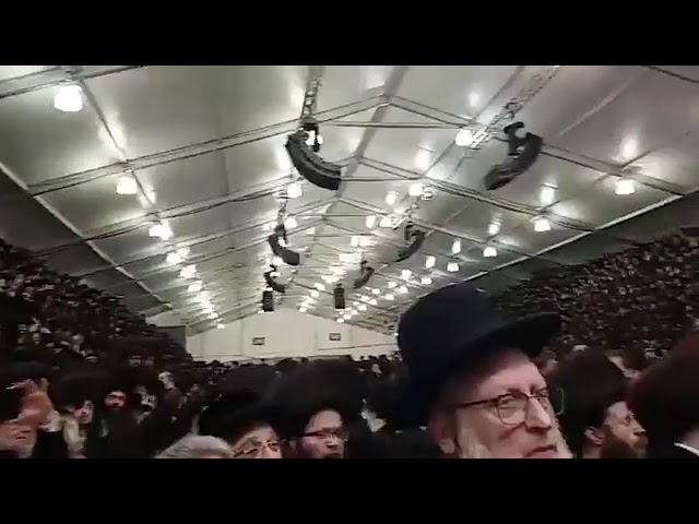 More of the Grand Bobov Wedding - 8 Sivan 5778