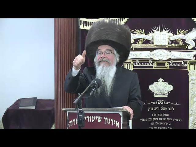 שאלות ותשובות וחידושים ובירורי הלכה למעשה - ר' אברהם חיים שטיינווארצעל שליט"א