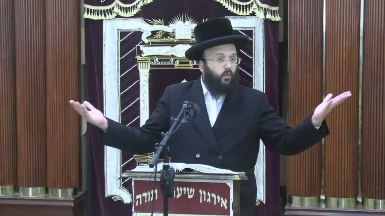 דיני שמיטה ופירות שביעית - ר‘ סנדר רכניצר שליט“א