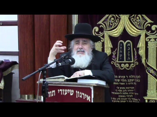 הכנה לפורים - הרב אליעזר גינזבורג