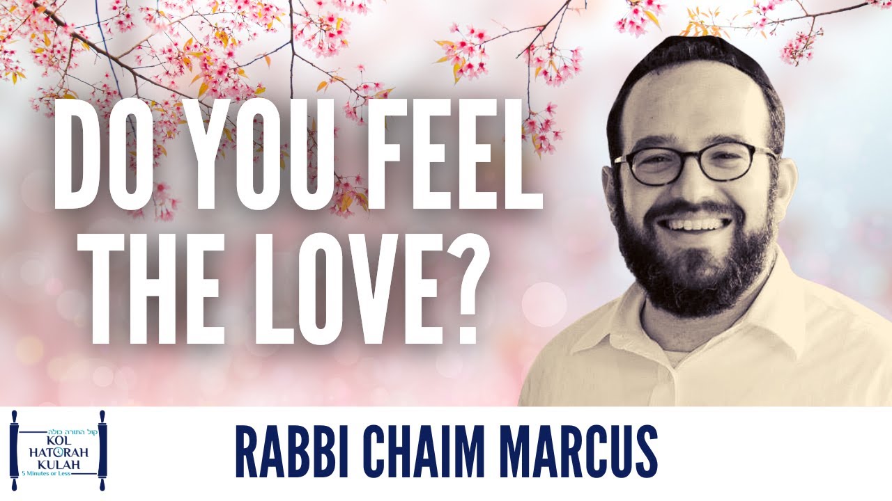 Do You Feel the Love - Rabbi Chaim Marcus