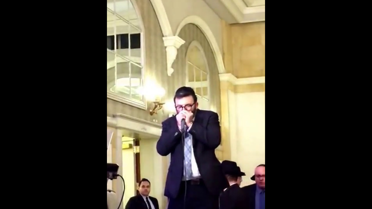 Elimelech Adler - V'zakeini - Harmonica