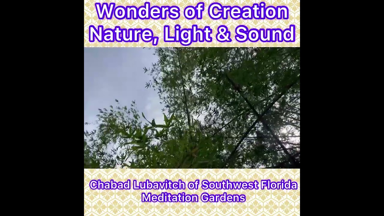Meditation Garden at Chabad Lubavitch of Southwest Florida. Nature, Light & Sound. B.H.