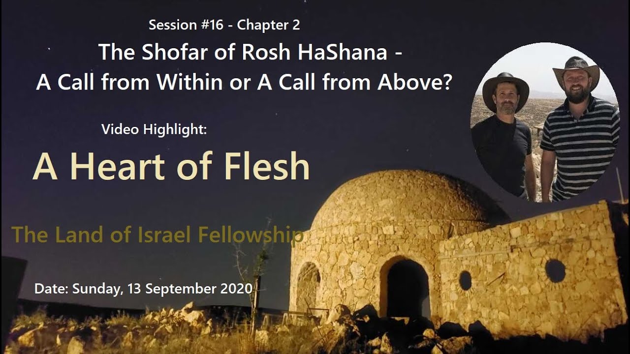 A Heart of Flesh - Ari Abramowitz: The Land of Israel Fellowship