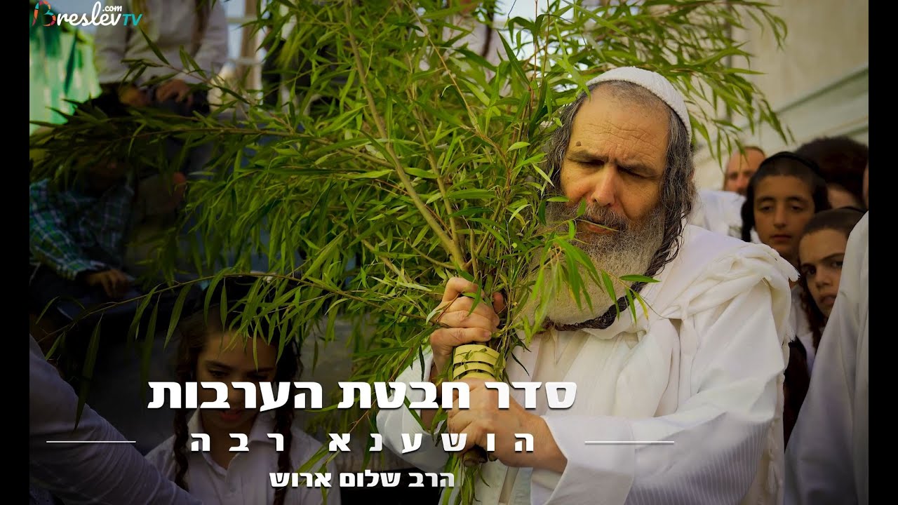 חבטת הערבות   הושענא רבה   הרב שלום ארוש
