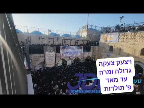 מהרא"ט (בעל כלב אהרן) אצל ציון הרשב"י עם חסידי ארוינים מכל העולם בצעקה גדולה ומרה